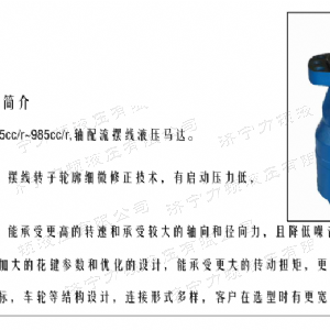 BMH系列交错油口拼搏在线平台(中国)官网马达